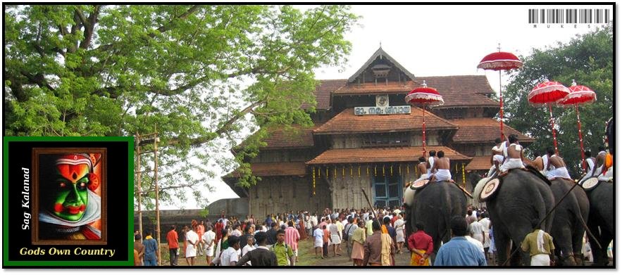 Kerala Thrissur Pooram Festival Photos And Images   God's Own Country    freelance writing jobs kerala